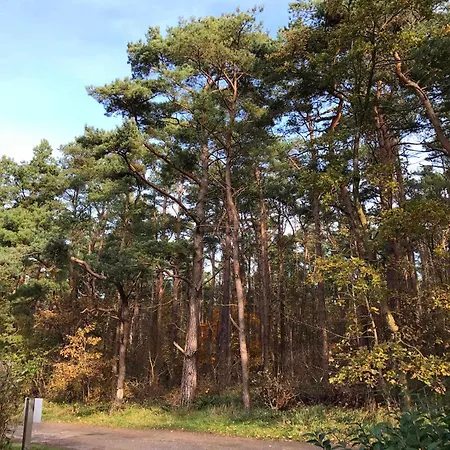 Sonnenschein In Breege * Juliusruh