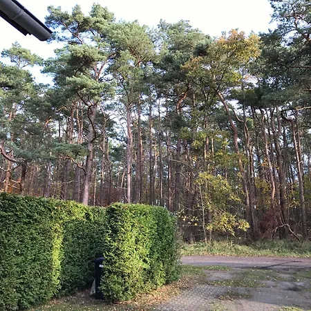 Sonnenschein In Breege