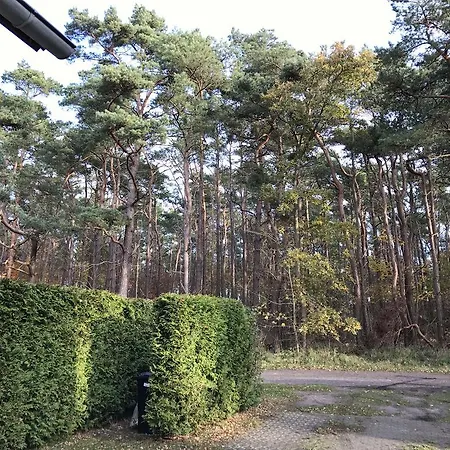 Sonnenschein In Breege Juliusruh