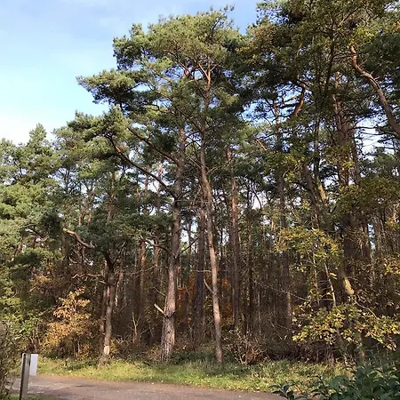 Sonnenschein In Breege Ferienhaus