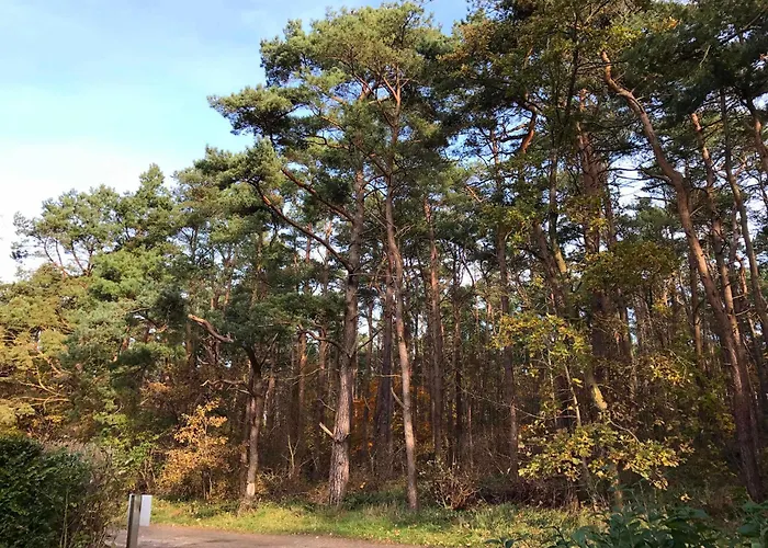 Sonnenschein In Breege * Juliusruh