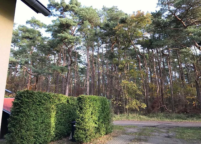 Sonnenschein In Breege